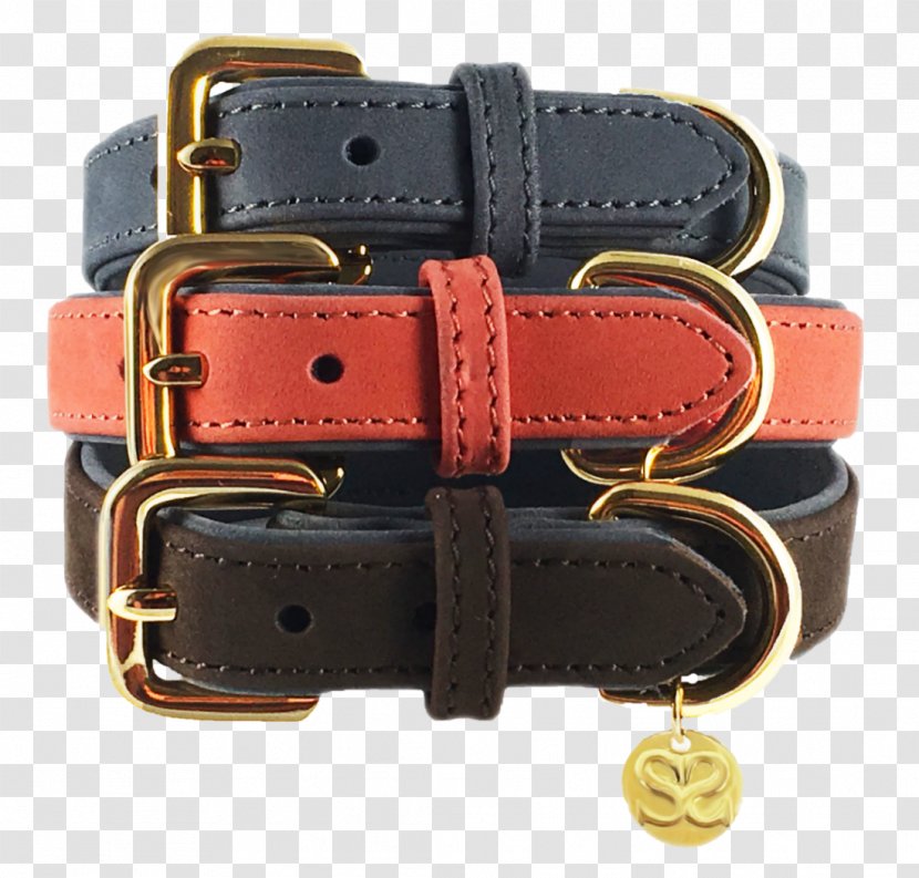 Dog Collar Leash Leather - Strap Transparent PNG