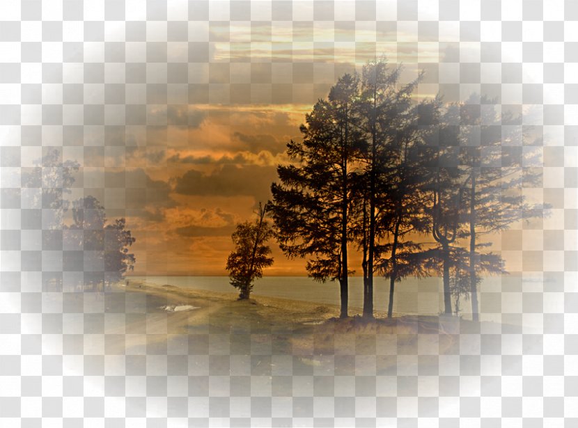 Desktop Wallpaper Landscape Painting Stock Photography - Gallon Transparent PNG