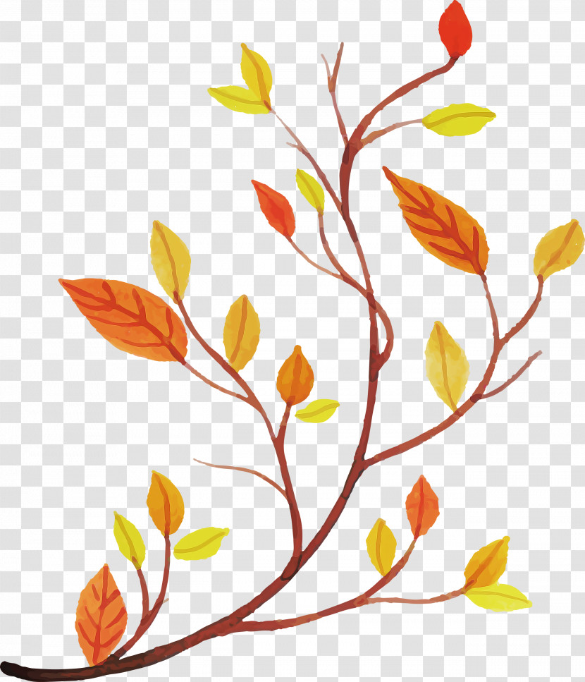 Floral Design Transparent PNG