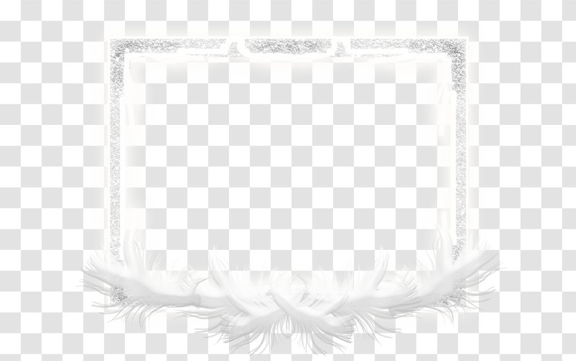 White Black Pattern - Monochrome Photography - Feather Frame Transparent PNG
