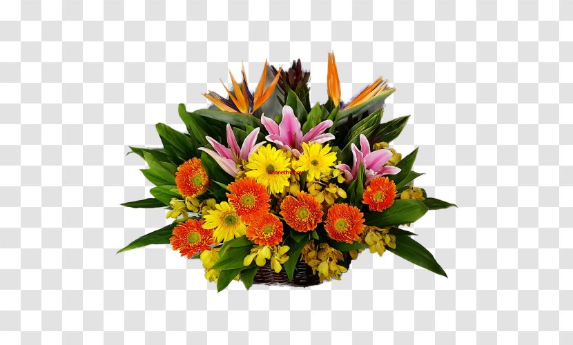 Floral Design Cut Flowers Flower Bouquet Transvaal Daisy - Flowering Plant - Get Well Soon Transparent PNG