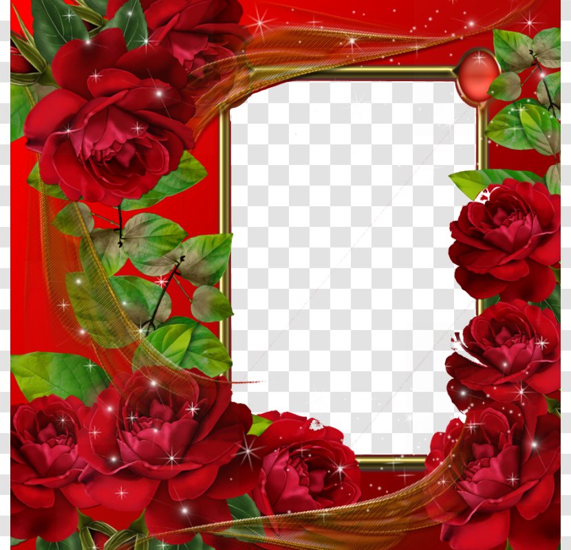 Picture Frame Editor Application Software - Valentines Day - Red Flower Pic Transparent PNG