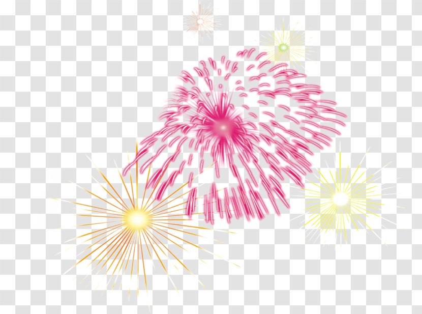 Fireworks Lunar New Year - Color Transparent PNG