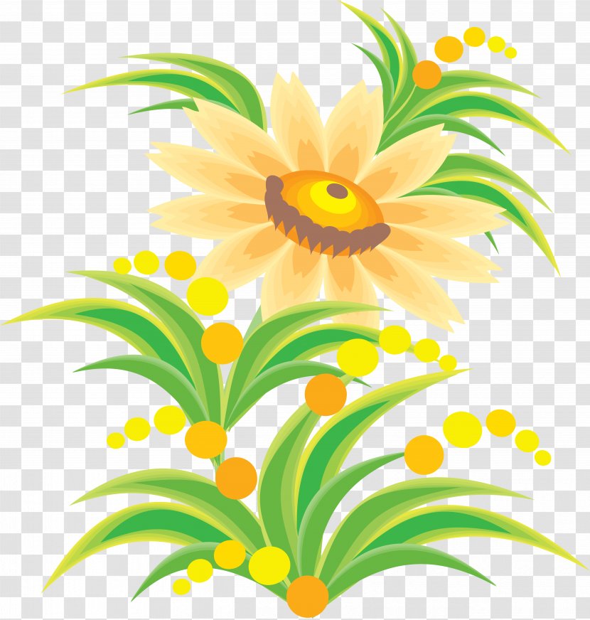 Information Flower - Daisy - Hand Painted Transparent PNG