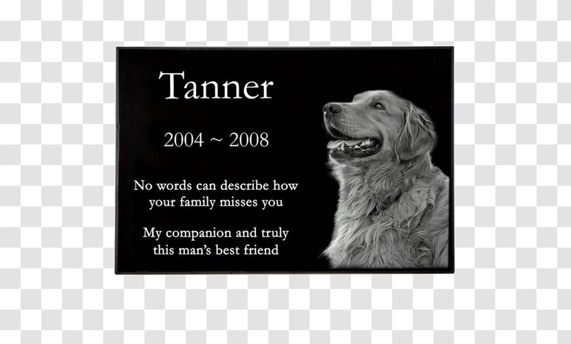 Headstone Dog Memorial Pet Commemorative Plaque - Retriever Transparent PNG