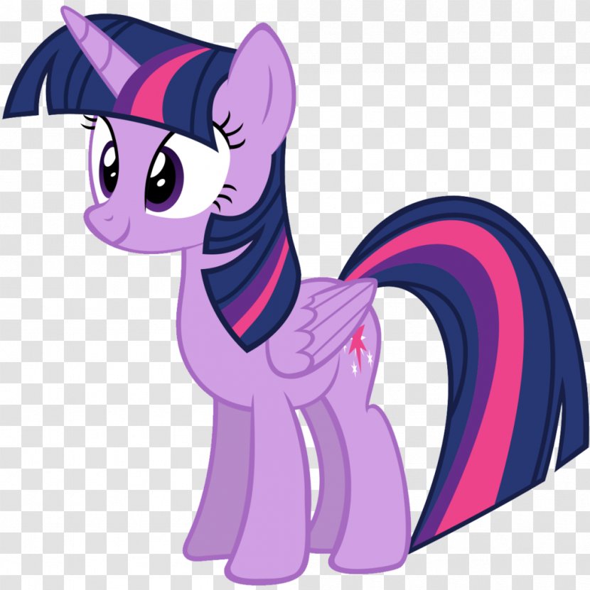 Twilight Sparkle Pinkie Pie Rarity Rainbow Dash Pony - Saga Transparent PNG