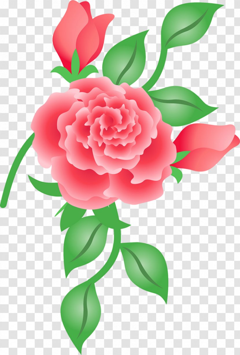Garden Roses Cabbage Rose Cut Flowers Clip Art - Rosa Centifolia - Flower Transparent PNG