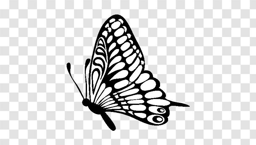 Monarch Butterfly Clip Art Vector Graphics Illustration - Royaltyfree Transparent PNG