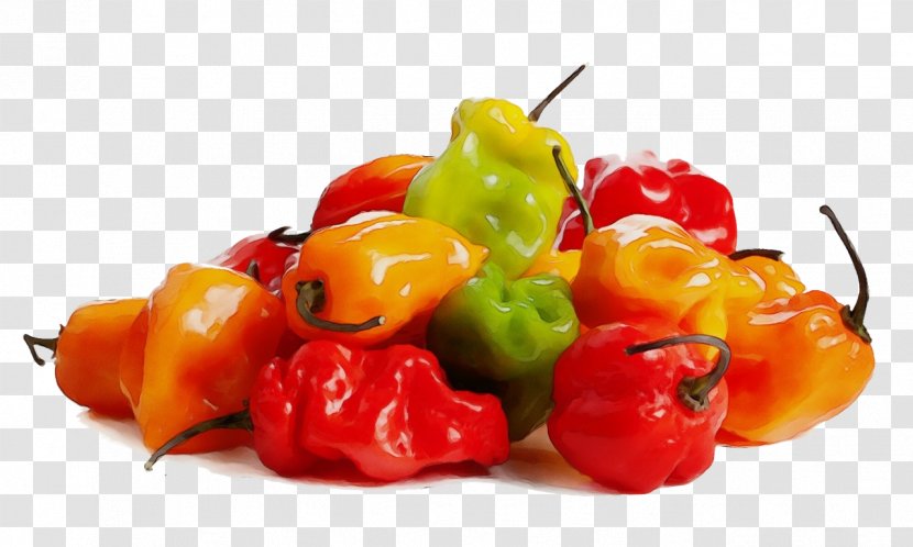 Natural Foods Food Habanero Chili Bell Peppers And Plant - Pepper Yellow Transparent PNG