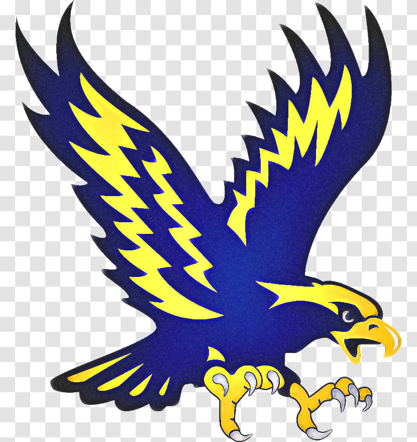 American Football Background - Peregrine Falcon - Falconiformes Bald Eagle Transparent PNG