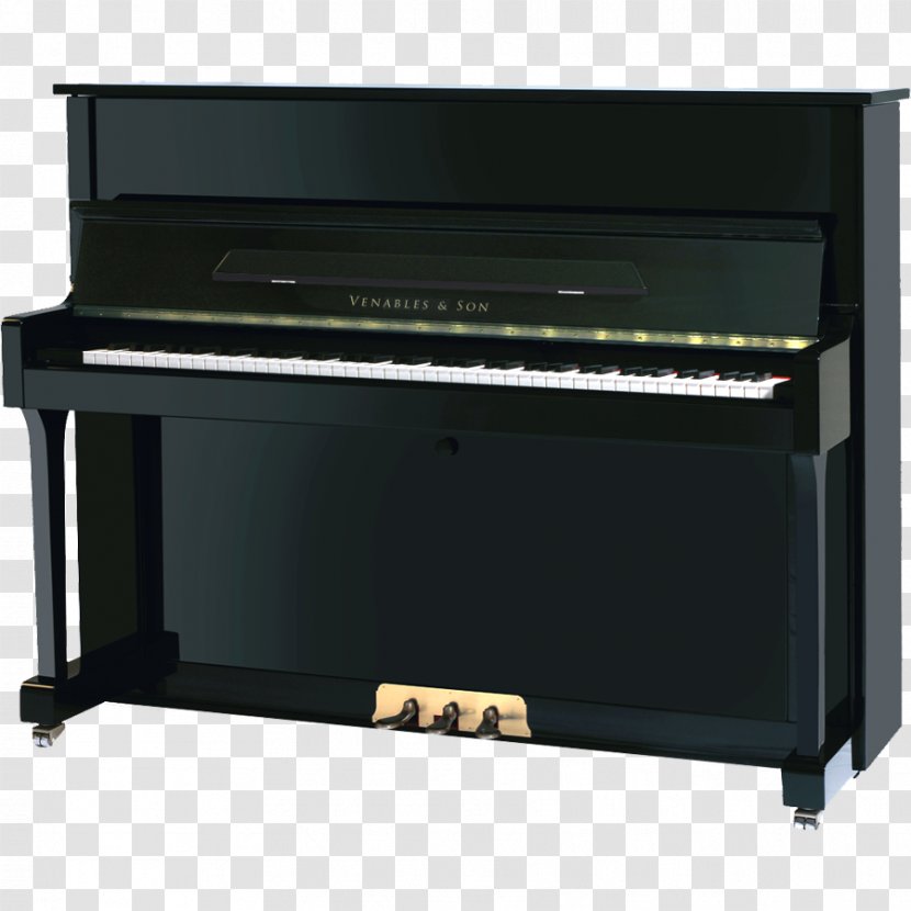 Digital Piano Electric Musical Keyboard Player Celesta - Upright Transparent PNG