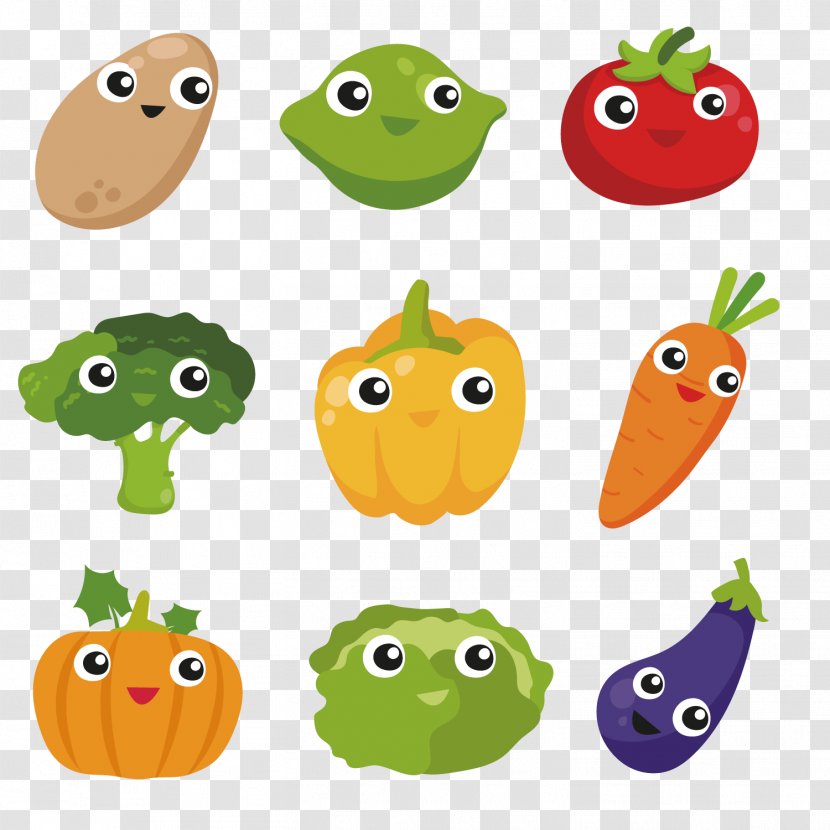 Vegetable Photography Euclidean Vector - Broccoli - Collection Of Color Vegetables Transparent PNG
