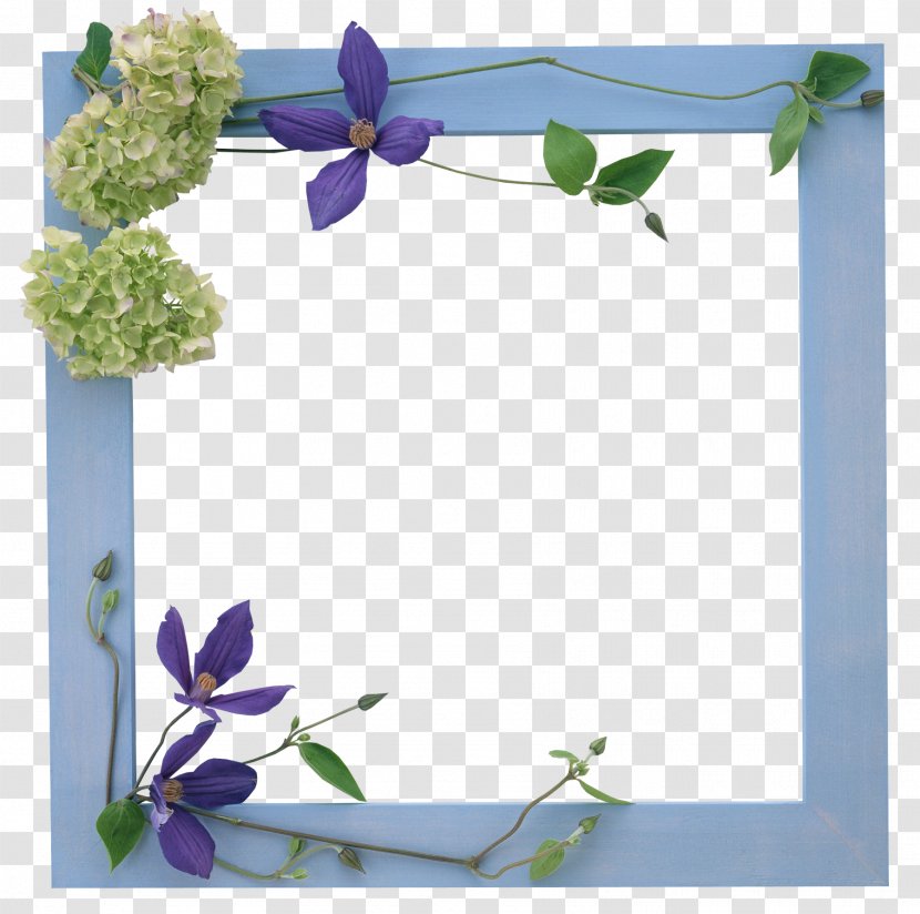 Chapters And Verses Of The Bible Verset Christianity Woman - Pollinator - Floral Frame Transparent PNG