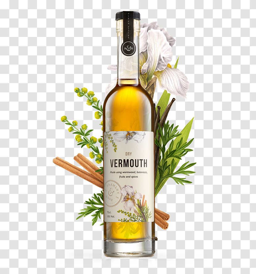 Liqueur Vermouth White Wine Gin - Herb Transparent PNG