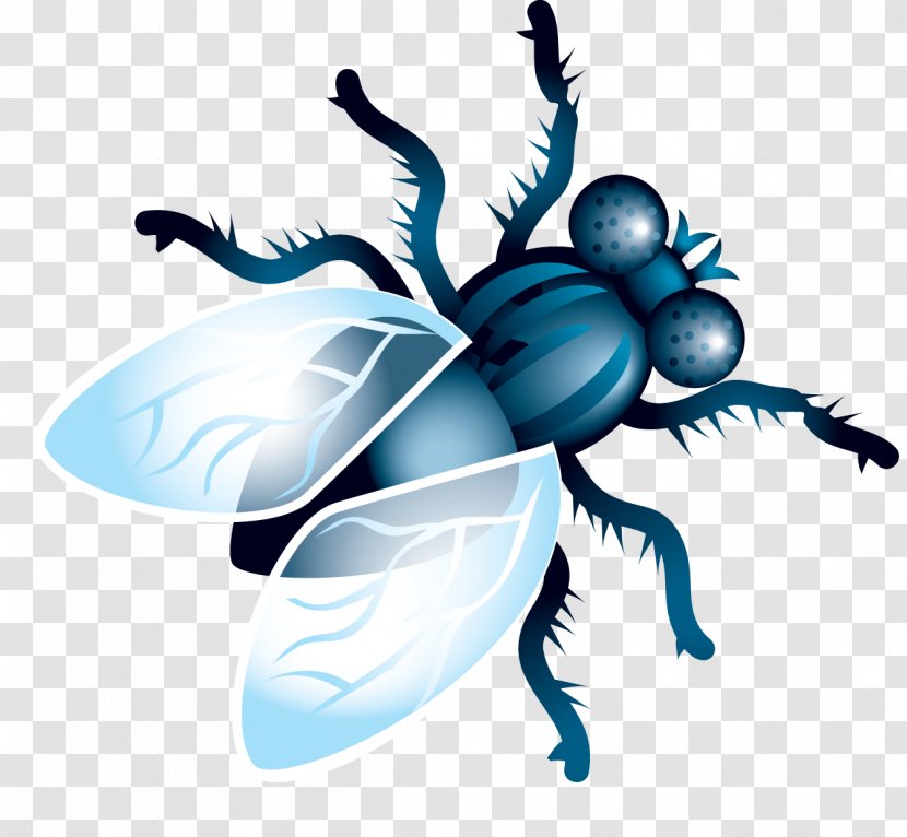 Flight Fly Clip Art - Insect - Image Transparent PNG