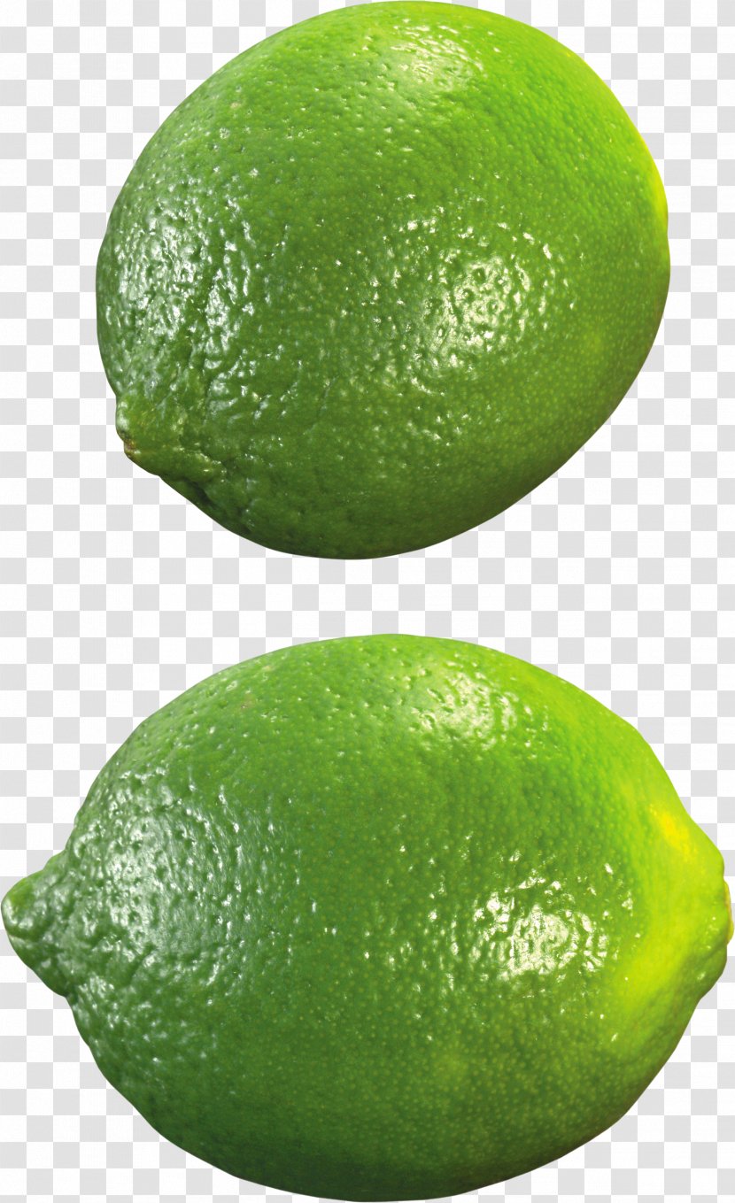 Key Lime Lemon - Juice Vesicles Transparent PNG