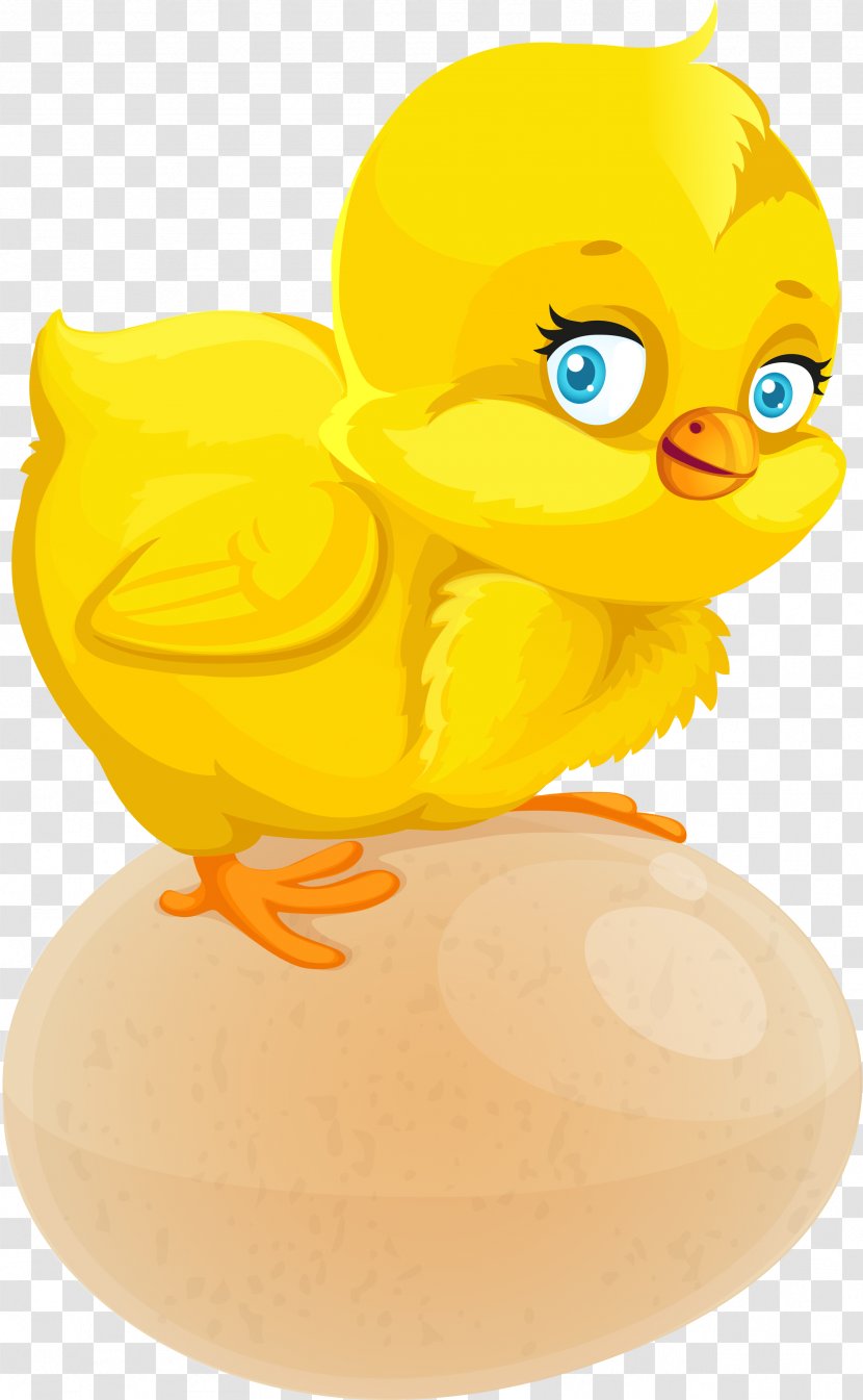 Chicken Drawing Animation Cartoon - Comics - Easter Chick Transparent PNG