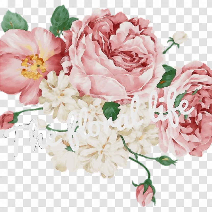 Watercolor Pink Flowers - Artificial Flower Chinese Peony Transparent PNG