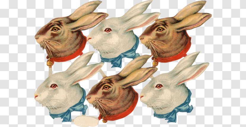 Domestic Rabbit Hare Vintage Clothing Clip Art - Berry - Violet Transparent PNG