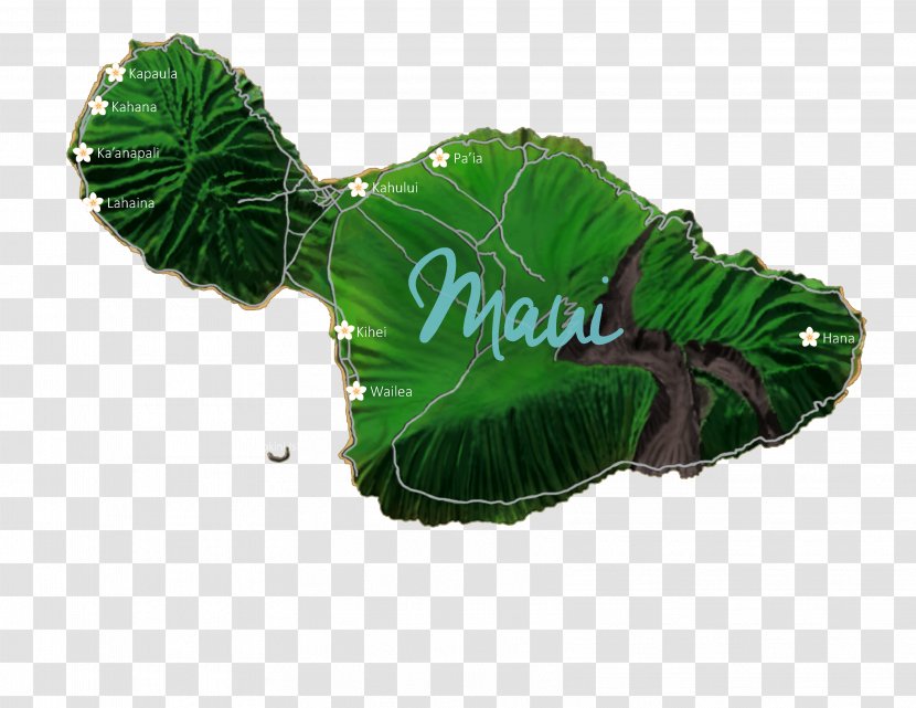 Maui Lanikai Beach Kauai House Vacation Rental - Plant - Hawaii Island Transparent PNG