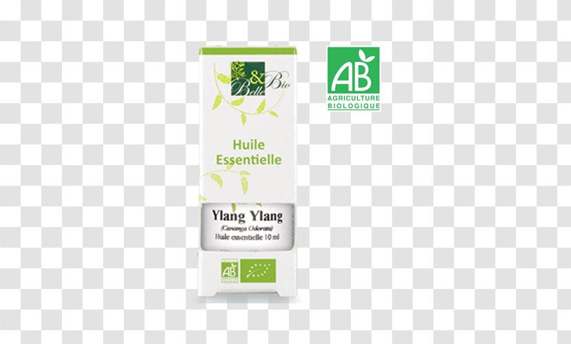 Essential Oil Perfume Eucalyptus Aromatherapy - Green Transparent PNG