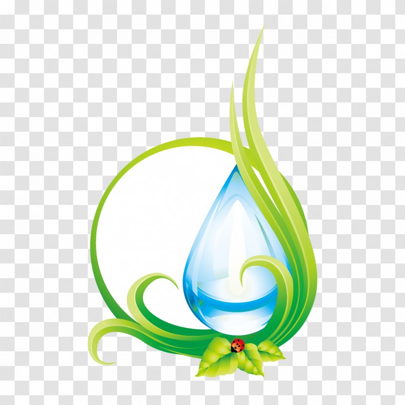 Drop Water - Leaf - Protection Of Resources Transparent PNG