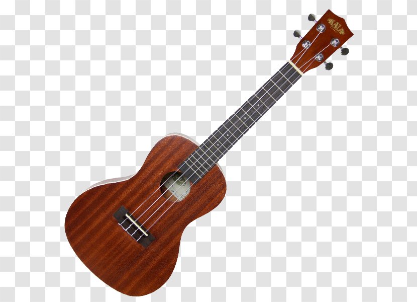 Cort Guitars Acoustic Guitar Musical Instruments Ukulele - Cartoon Transparent PNG