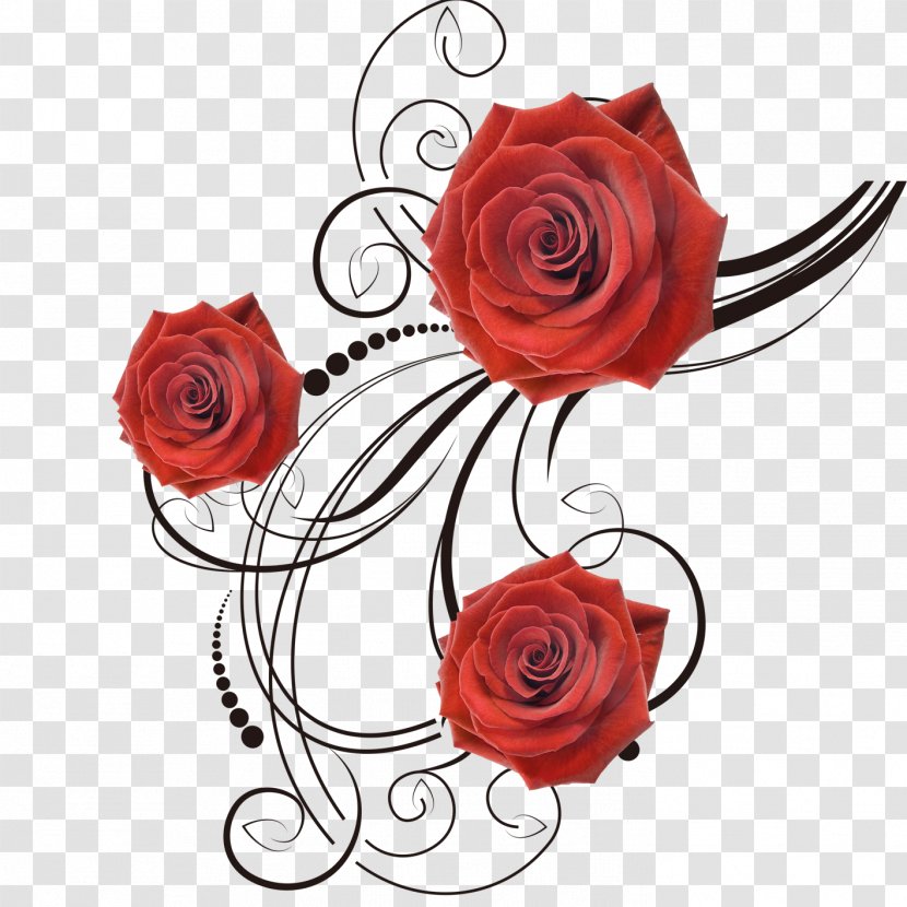 Garden Roses Beach Rose Flower - Order Transparent PNG