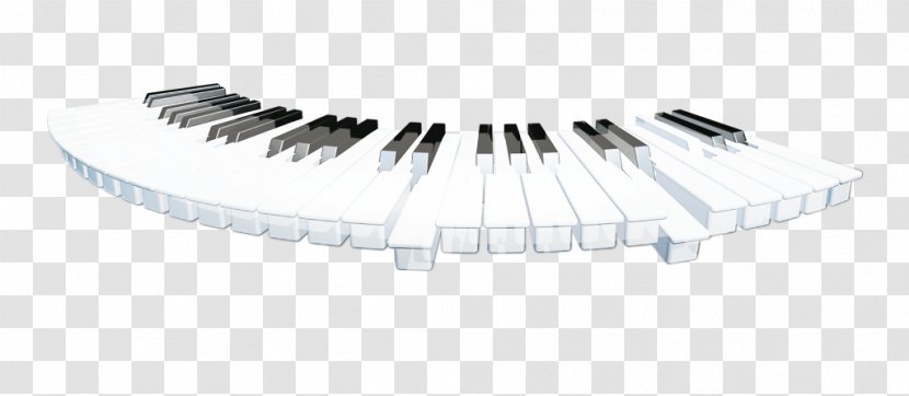 Computer Keyboard Black And White - Musical - Cartoon Arc-shaped Keys Transparent PNG