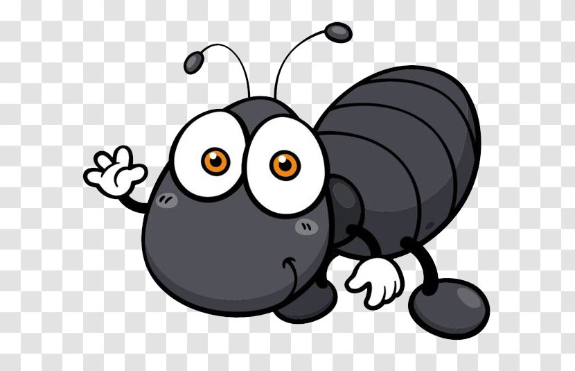 Cockroach Insect Cartoon Illustration - Model Sheet - Waving Ants Transparent PNG