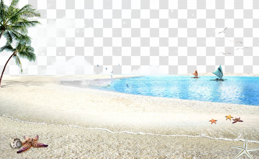 Beach Poster Accommodation - Ocean Background Transparent PNG