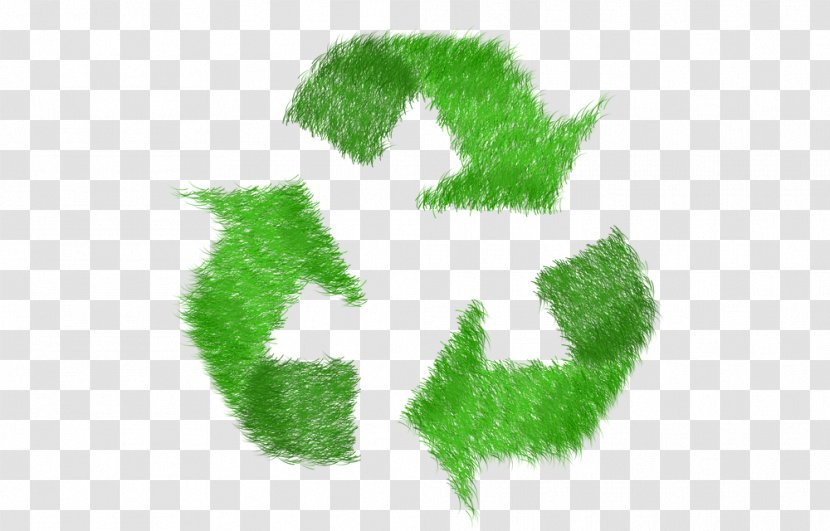 Recycling Business Waste Management Natural Environment - Leaf Transparent PNG
