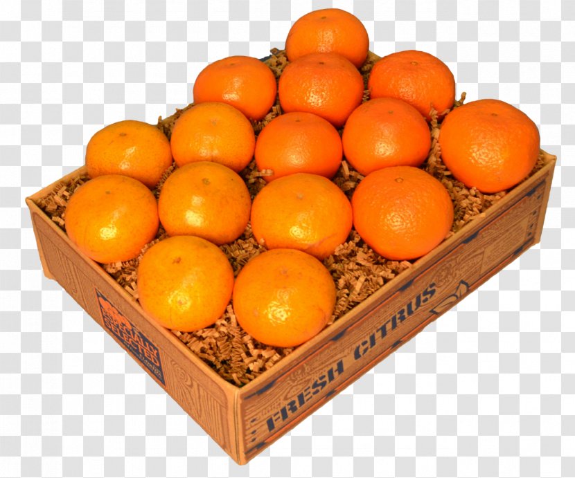 Blood Orange Tangerine Clementine Mandarin Tangelo - Grapefruit Transparent PNG