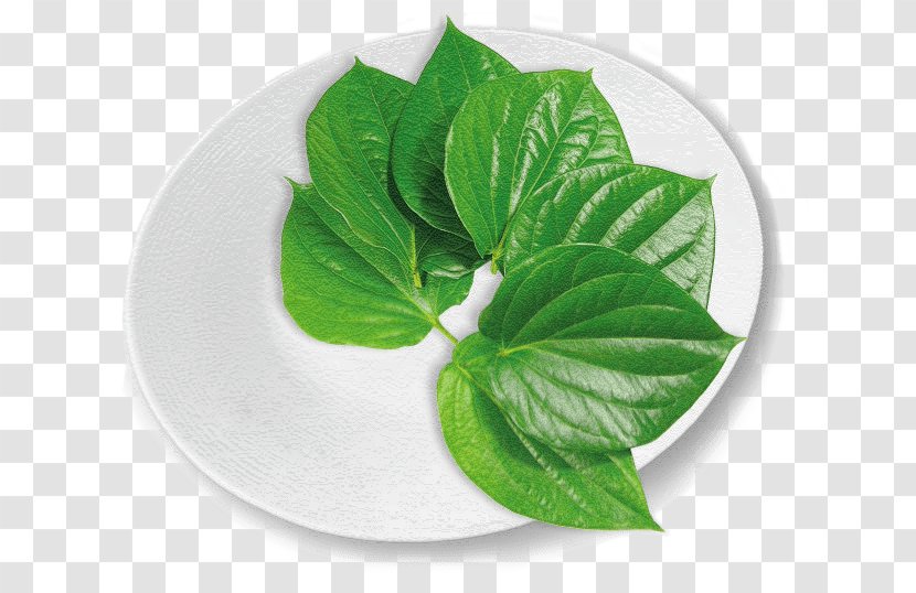 Leaf Vejle Asian Food Vegetable Betel Yardlong Bean - Flower Transparent PNG