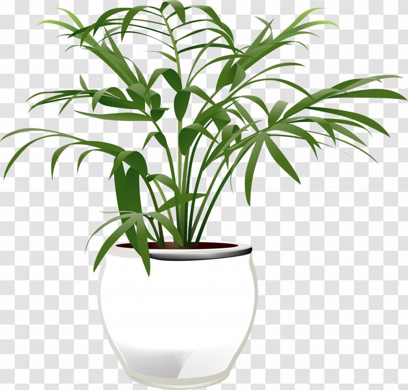 Vector Graphics Clip Art Image - Grass Family - Green Plants Transparent PNG