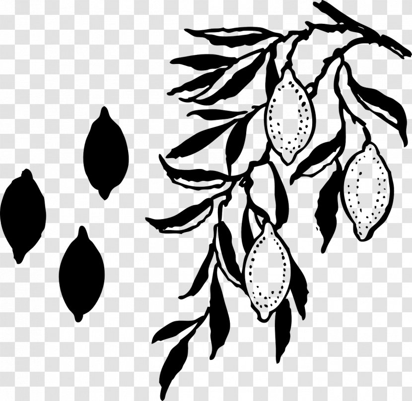 Flower Plant Stem Fruit Leaf Pattern - Stencil Transparent PNG
