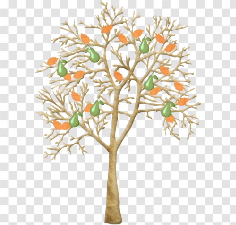 Asian Pear Cartoon Clip Art - Tree Transparent PNG