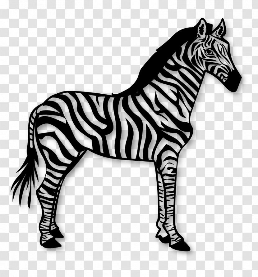 Zebra Vector Graphics Illustration Clip Art Stock Photography - African Animals Transparent PNG