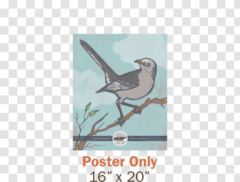 Northern Mockingbird Tennessee Texas State Bird - Wing - Juice Posters Transparent PNG