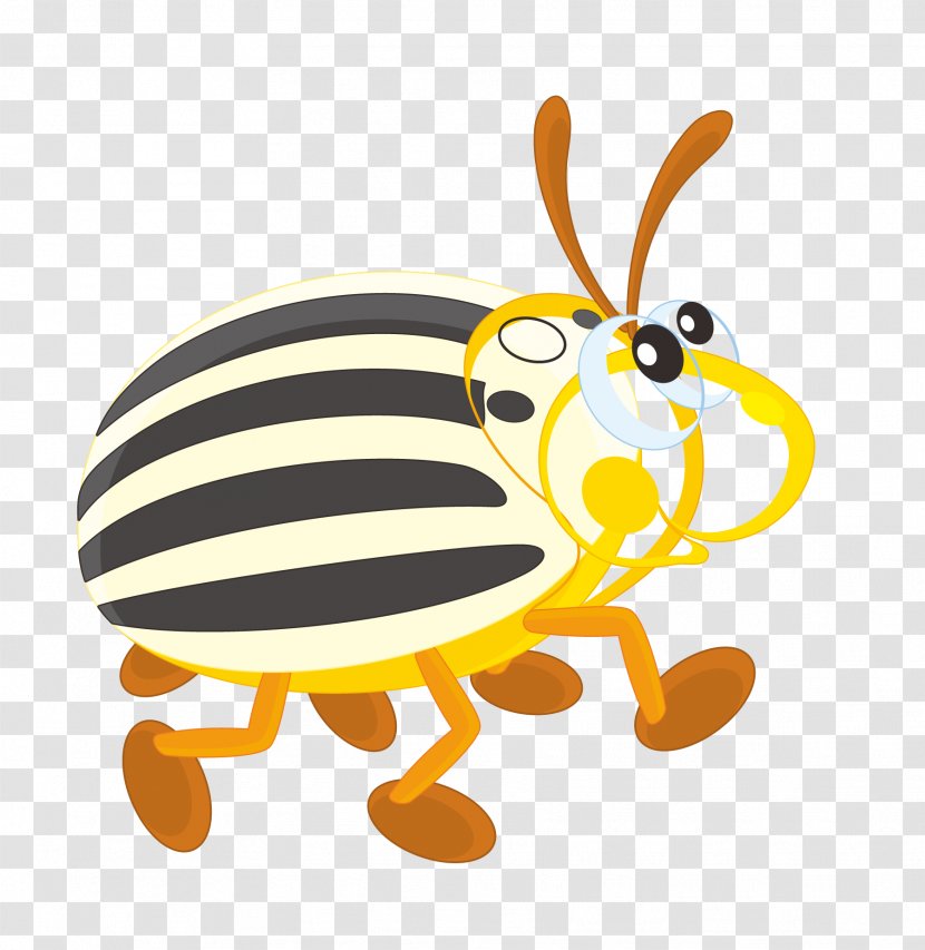 Colorado Potato Beetle Clip Art - Pest - Cartoon Insects Transparent PNG