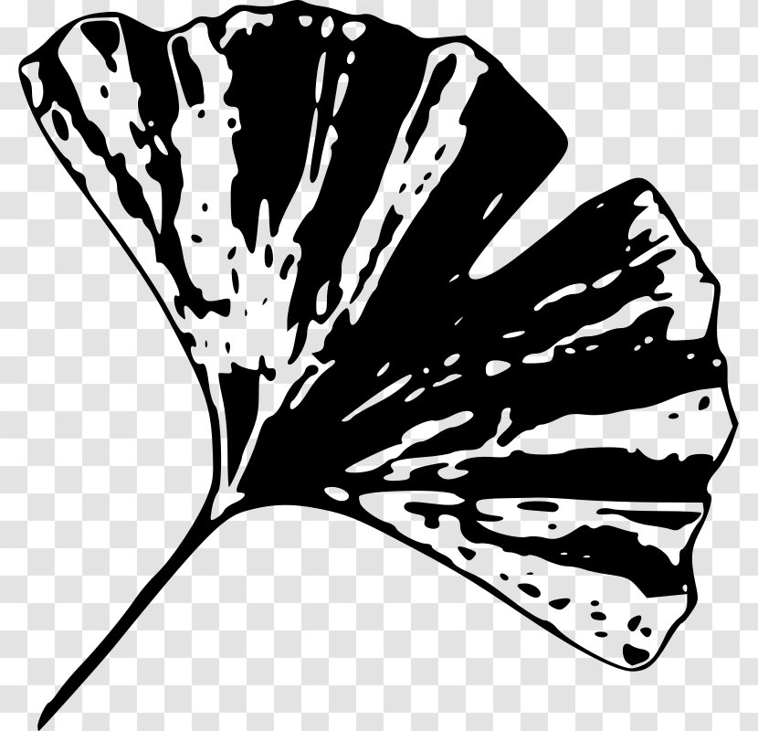 Ginkgo Biloba Tree Plant Leaf Clip Art - Butterfly - Clipart Transparent PNG