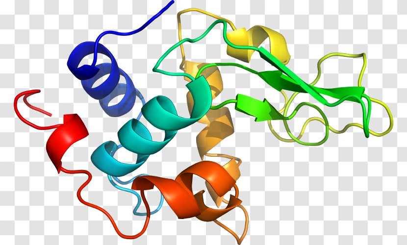 Integral Membrane Protein Cell Biological Lipid Bilayer - Camelid Antibodies Transparent PNG