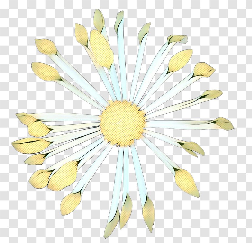 Flowers Background - Floral Design - Chamaemelum Nobile Flowering Plant Transparent PNG