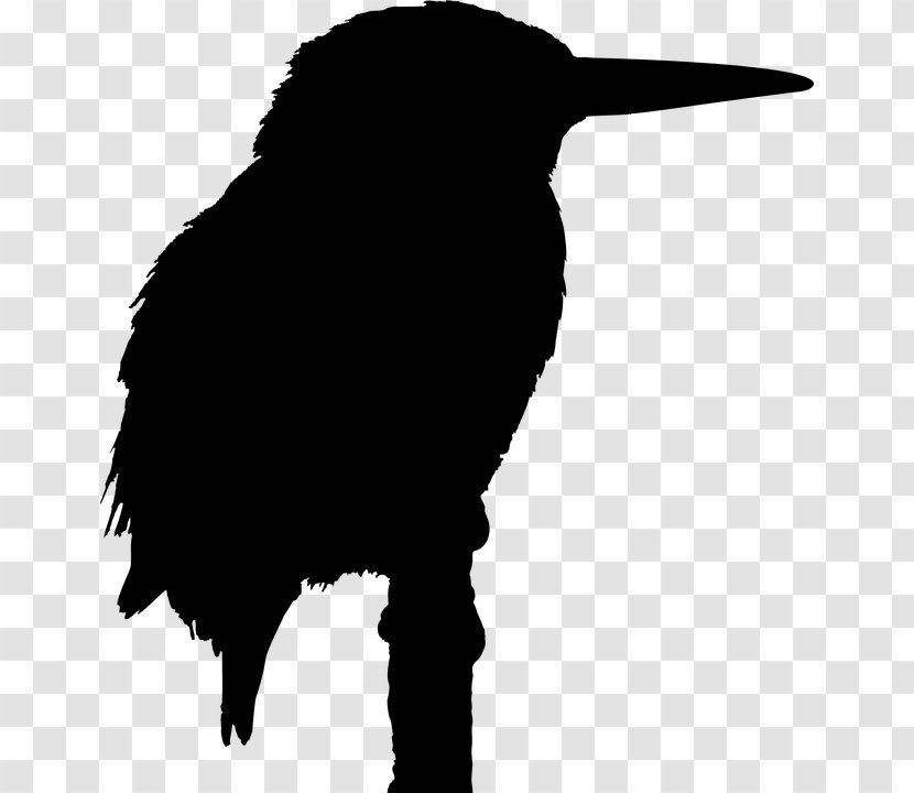Big Bird Silhouette Kingfisher - Black And White Transparent PNG