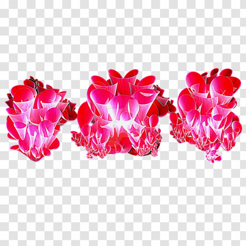 Garden Roses Cut Flowers Petal - Dimensional Flower Transparent PNG