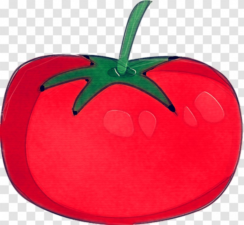 Apple Leaf - Drupe - Rose Order Malus Transparent PNG