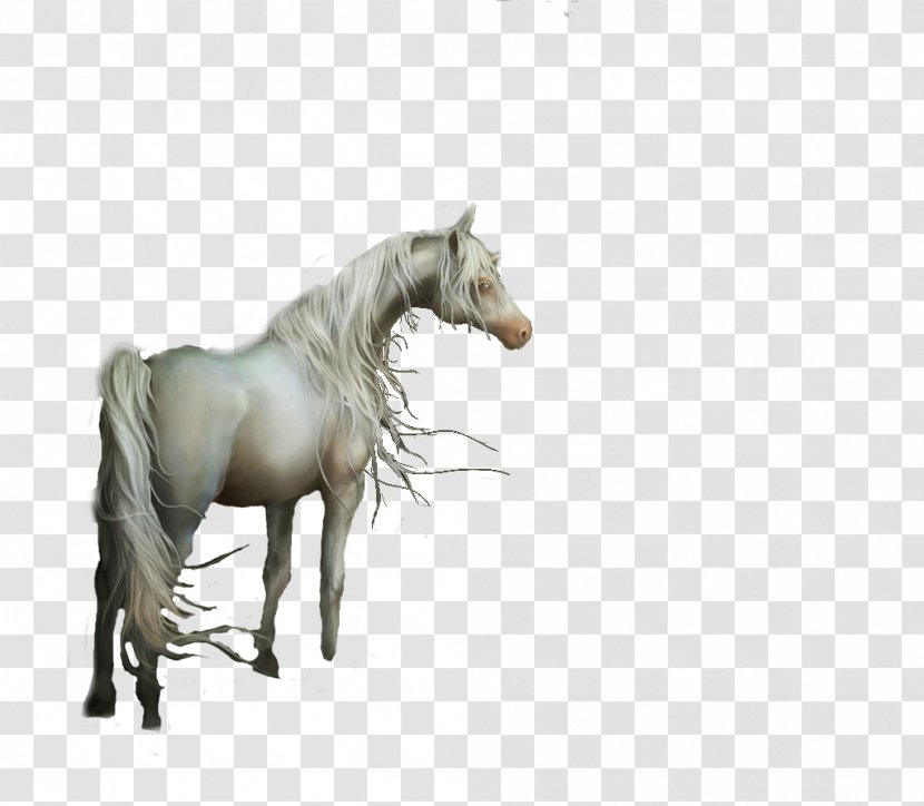 Mane Mustang Stallion Mare Halter - Pony Transparent PNG
