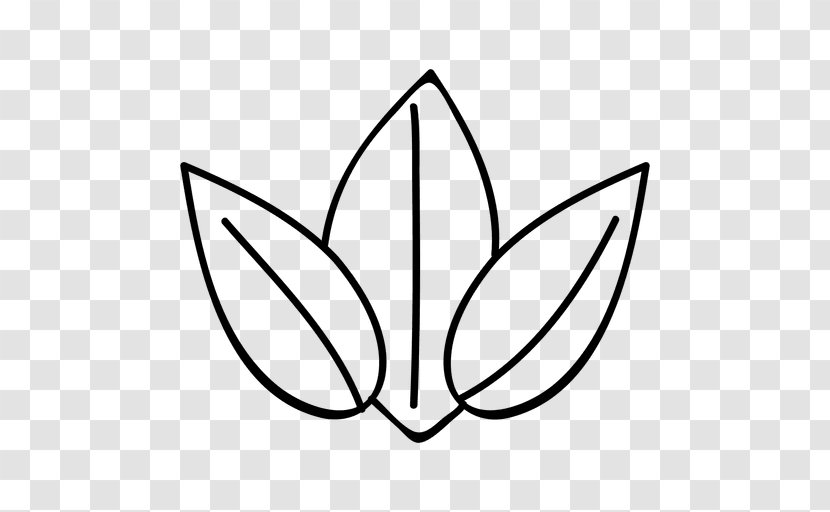 Leaf - Flora - Symbol Transparent PNG