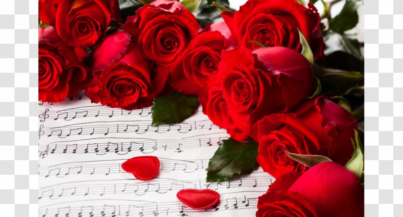 Valentine's Day Rose Heart Flower Red - Nosegay Transparent PNG