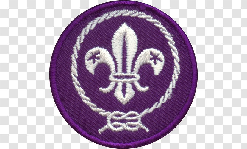 World Scout Jamboree National Capital Area Council Emblem Boy Scouts Of America Organization The Movement - Cub Scouting Transparent PNG